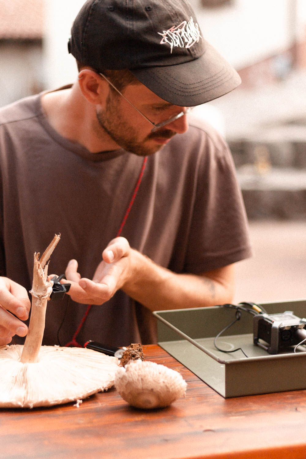 Photo by Antônio Frederico Lasalvia